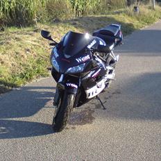 Honda CBR 1000 RR Fireblade