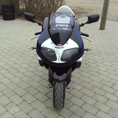 Suzuki TL 1000 R