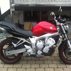 Yamaha FZ6-n