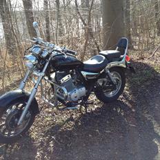 Dorton XT 250