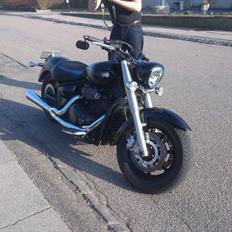 Yamaha XVS 1300 Midnight star