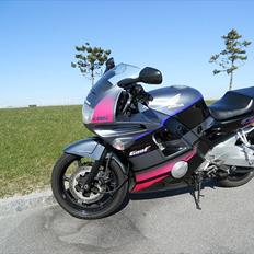 Honda CBR 600 (F2)