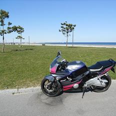 Honda CBR 600 (F2)