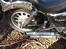 Dorton XT 250