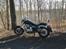 Dorton XT 250