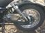 Dorton XT 250