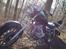 Dorton XT 250