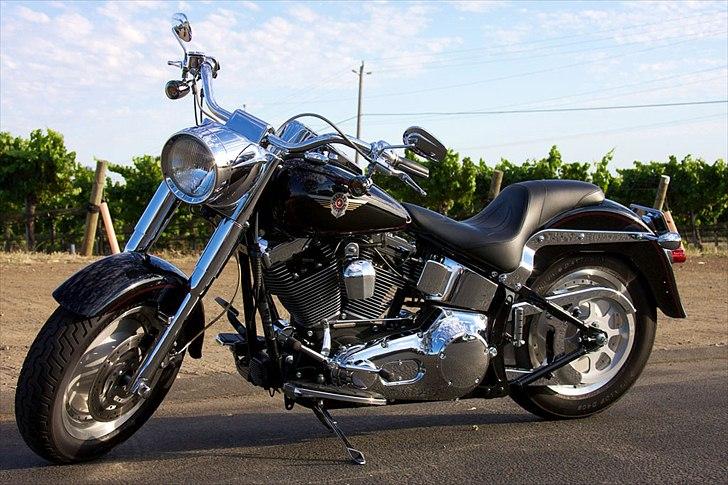 Harley Davidson FLSTFI billede 1
