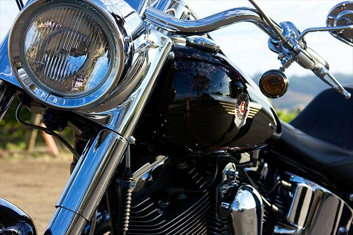 Harley Davidson FLSTFI billede 5