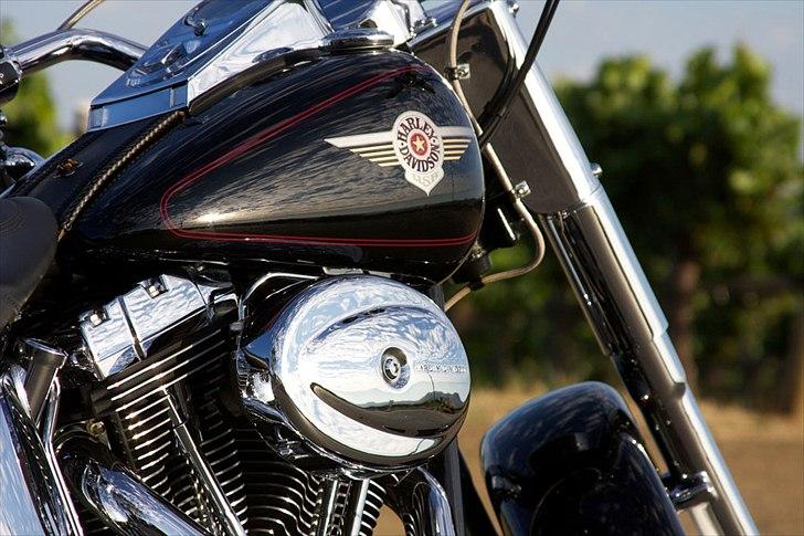 Harley Davidson FLSTFI billede 6