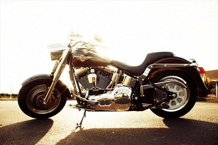 Harley Davidson FLSTFI billede 7