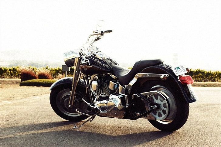 Harley Davidson FLSTFI billede 8