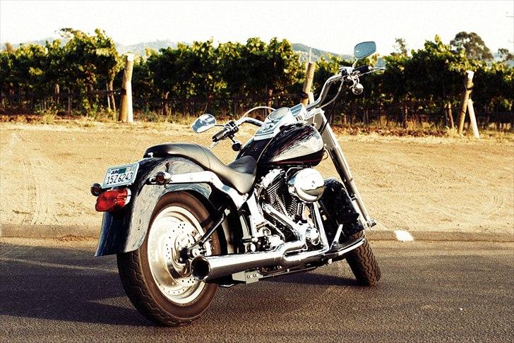Harley Davidson FLSTFI billede 9