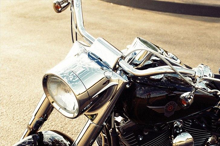 Harley Davidson FLSTFI billede 11