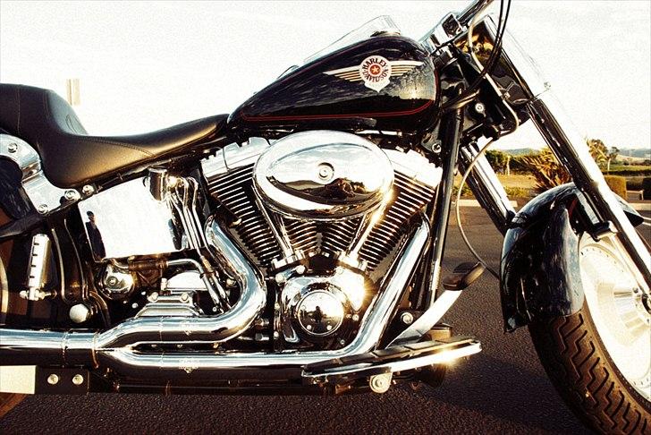 Harley Davidson FLSTFI billede 12
