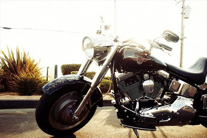 Harley Davidson FLSTFI billede 15