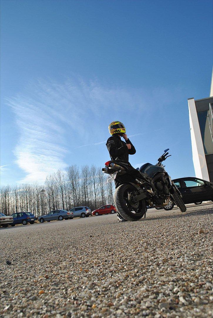 Yamaha FZ6-N billede 16