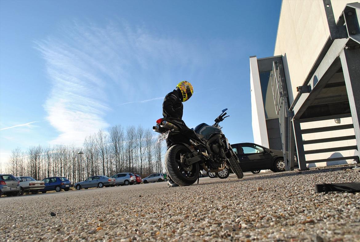 Yamaha FZ6-N billede 17