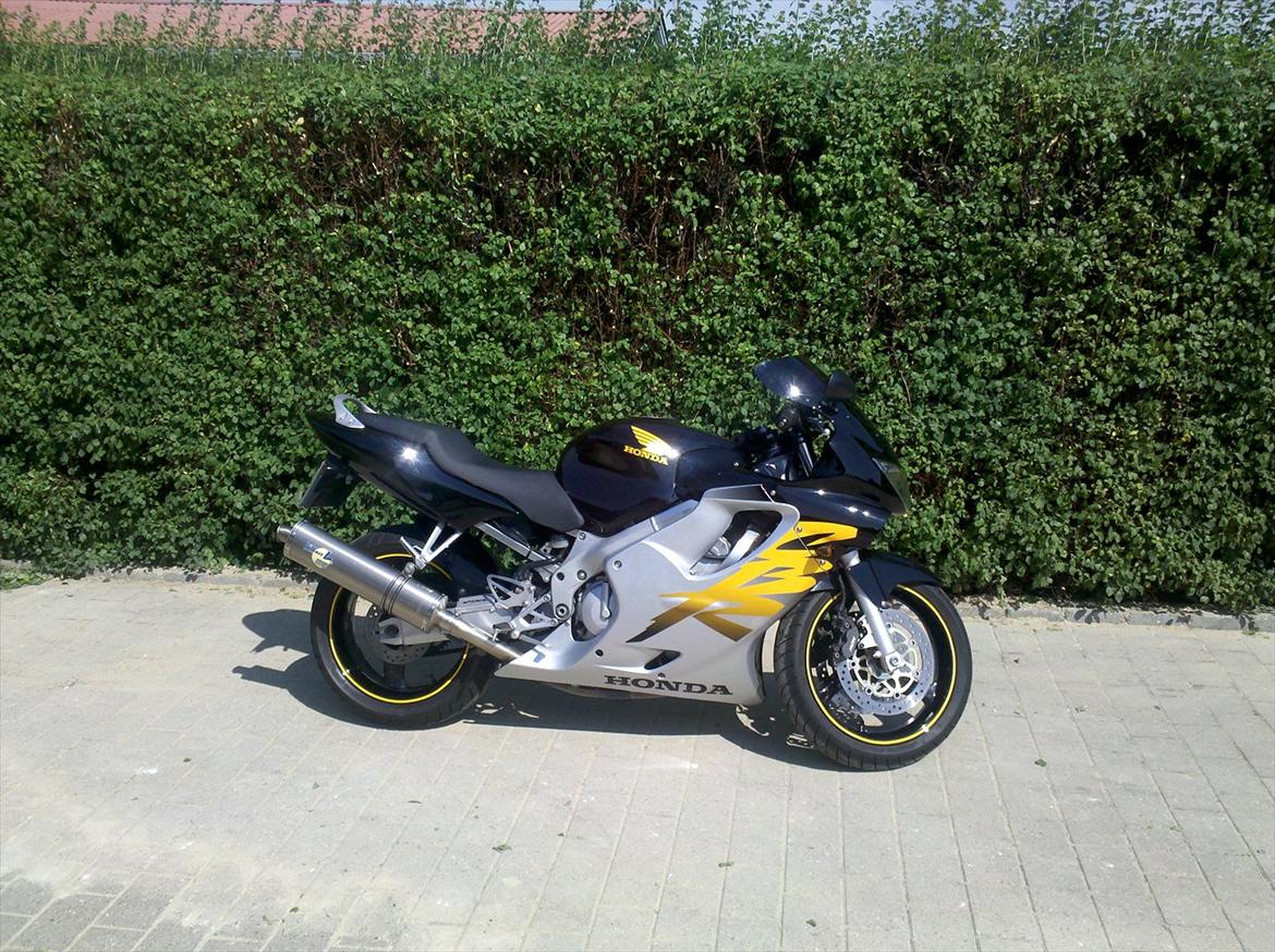 Honda CBR 600 F4 - En af de få sommerdage i 2011. billede 17