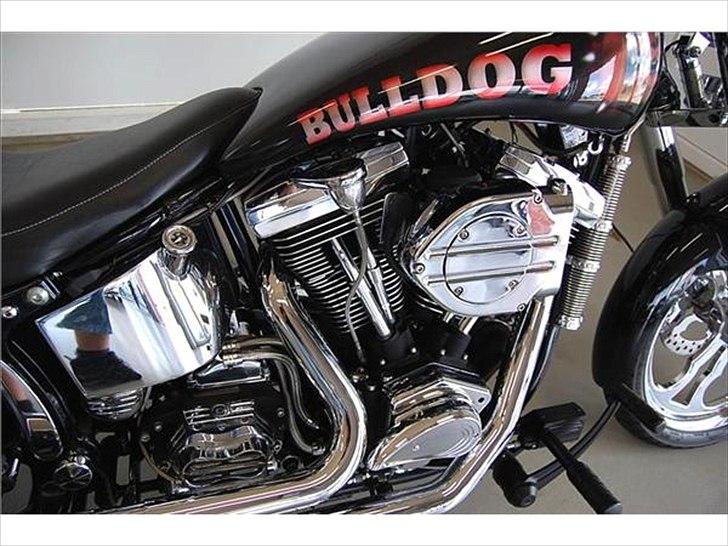 Harley Davidson Softail Custom "BULLDOG" billede 5