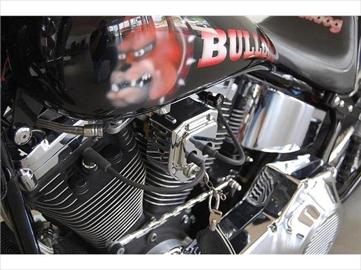 Harley Davidson Softail Custom "BULLDOG" billede 6