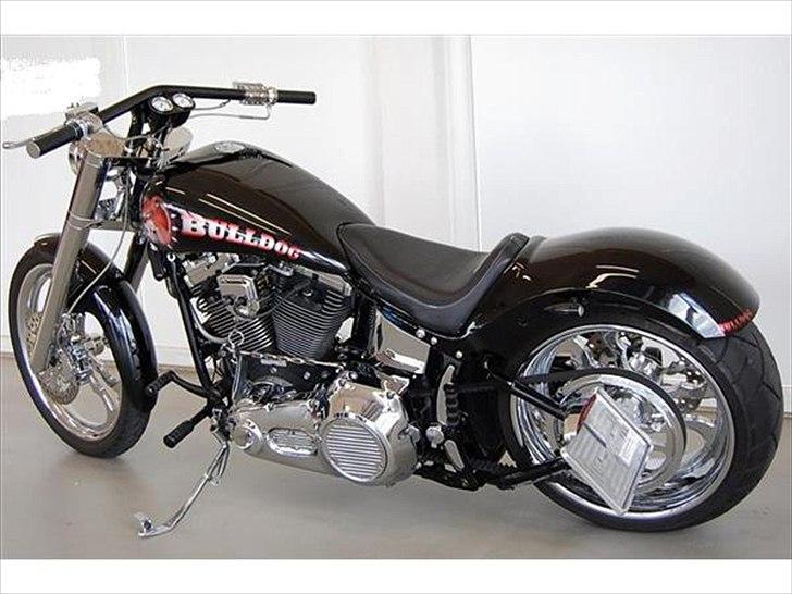 Harley Davidson Softail Custom "BULLDOG" billede 1