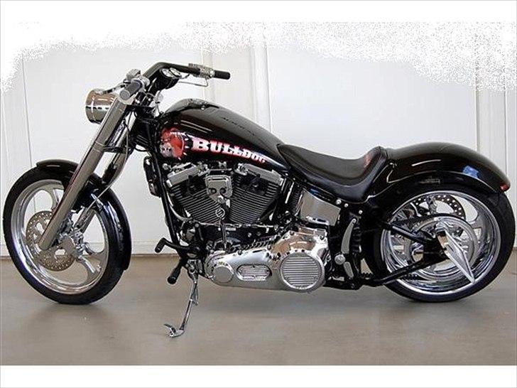 Harley Davidson Softail Custom Bulldog