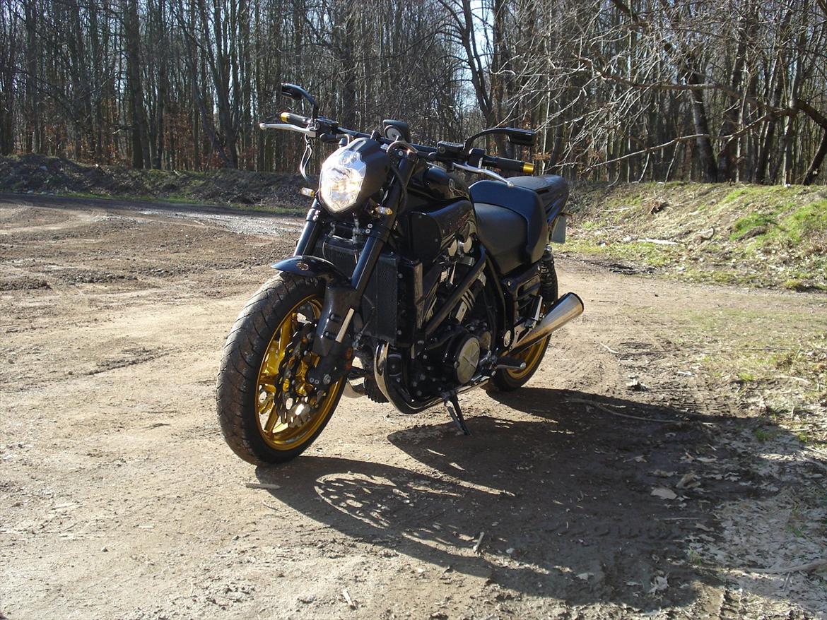 Yamaha V-max billede 15