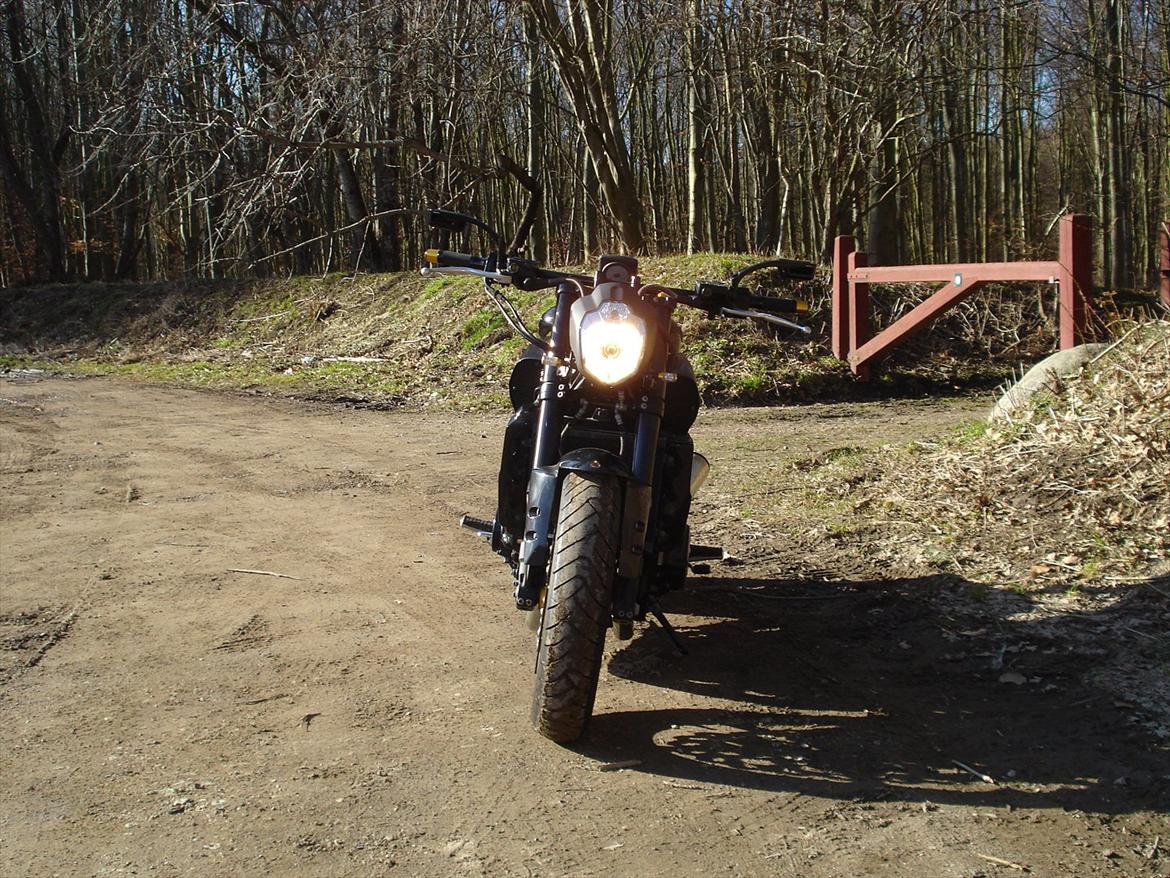 Yamaha V-max billede 18