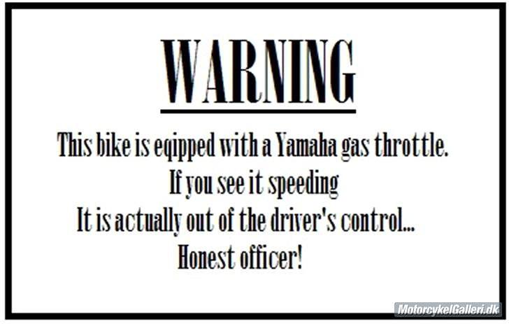 Yamaha FZR1000 SOLGT billede 20
