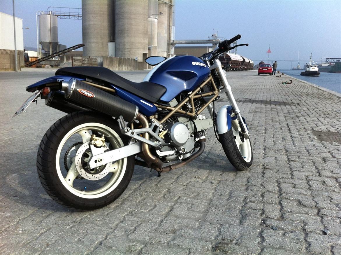 Ducati Monster  billede 13