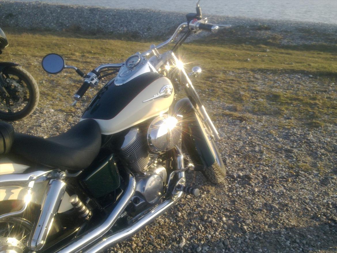 Honda VT 750 American edition billede 6