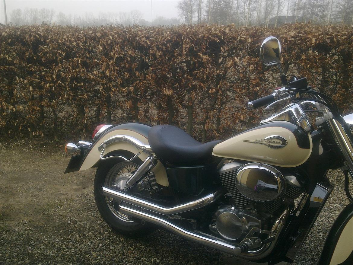 Honda VT 750 American edition billede 8