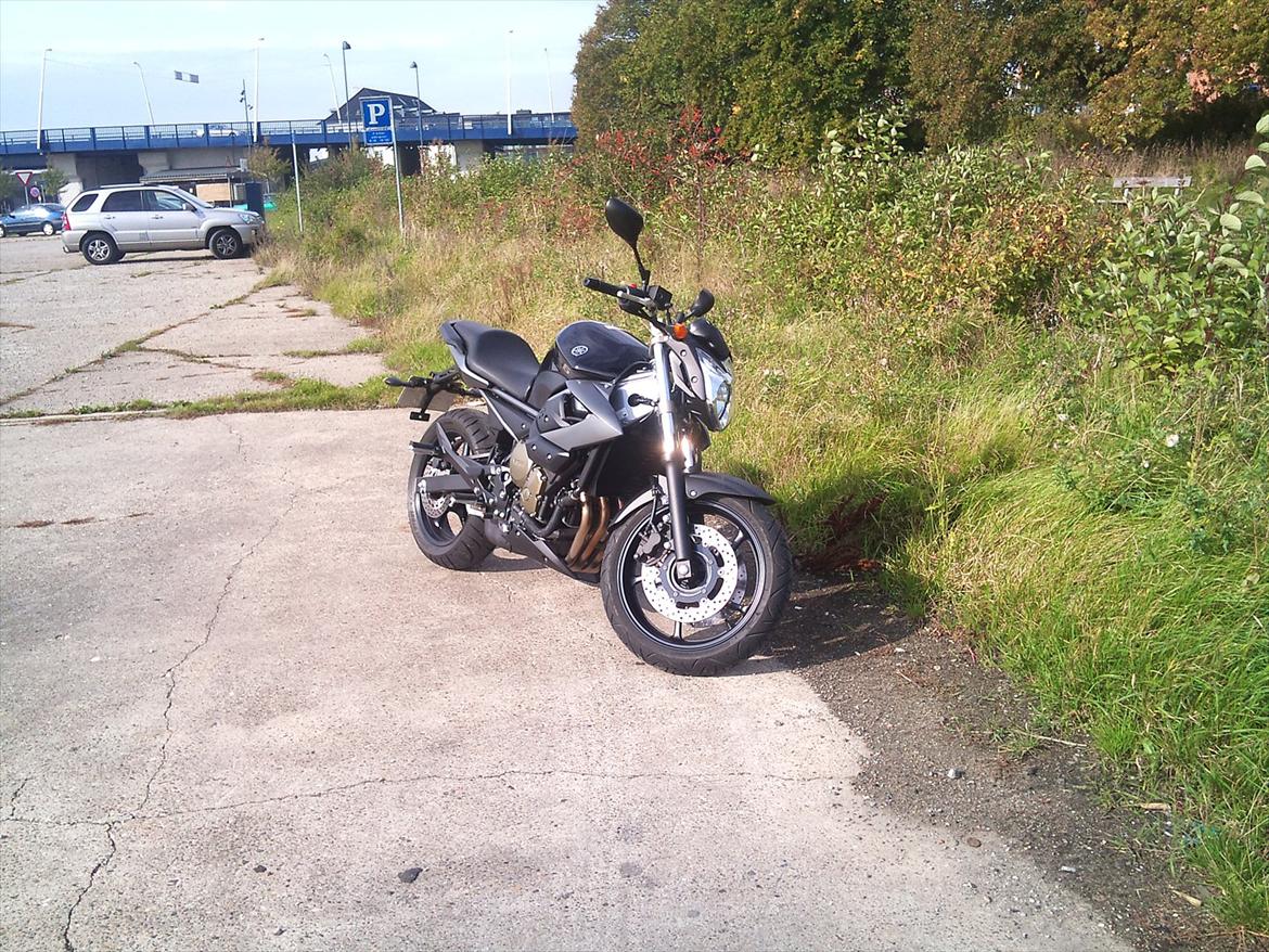 Yamaha XJ6-N billede 16