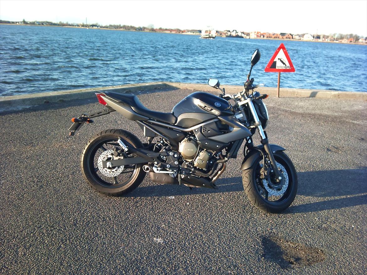 Yamaha XJ6-N billede 2