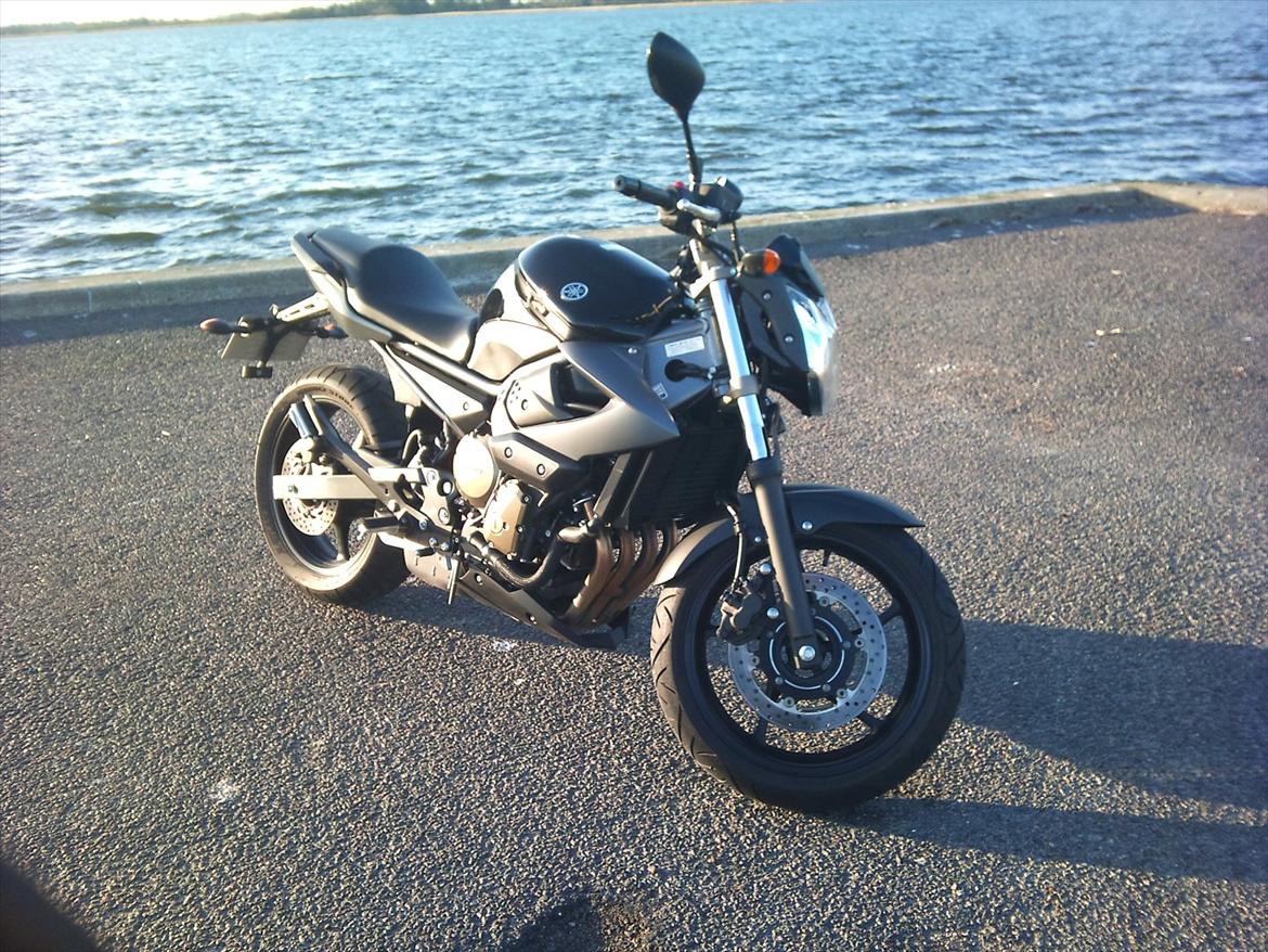 Yamaha XJ6-N billede 3