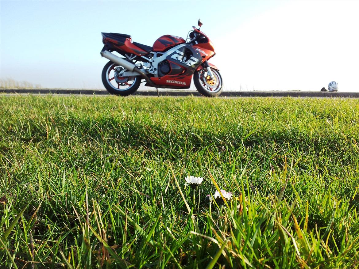 Honda CBR900RR Fireblade billede 1