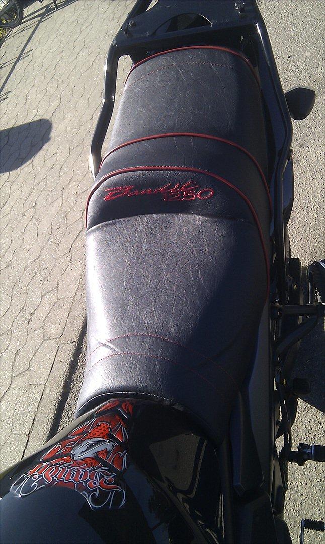 Suzuki Bandit 1250 billede 8