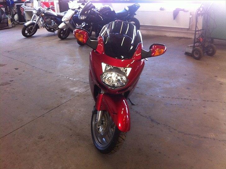 Honda Blackbird billede 1