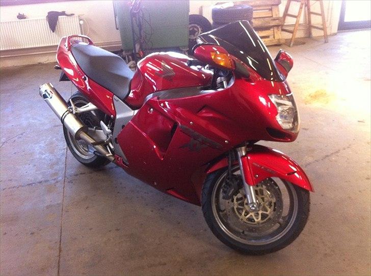 Honda Blackbird billede 2