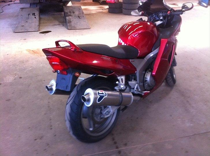 Honda Blackbird billede 4