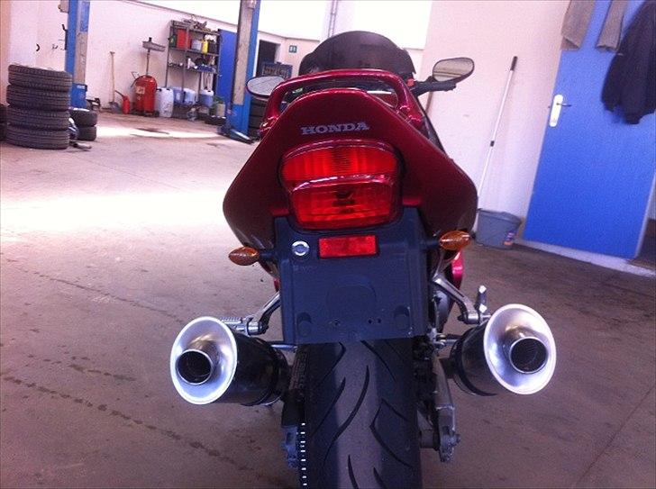 Honda Blackbird billede 6