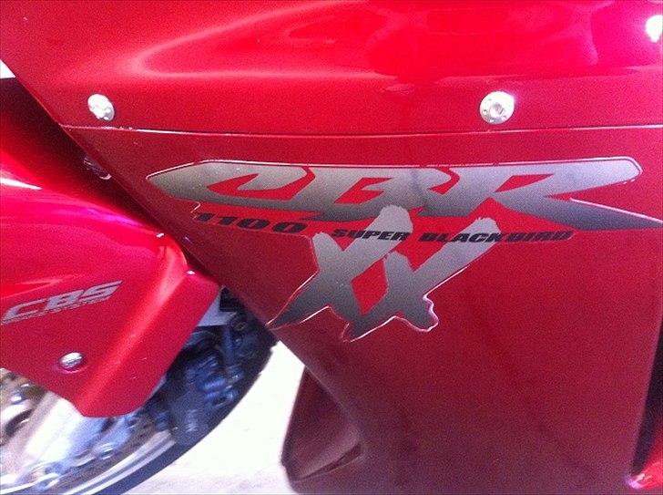 Honda Blackbird billede 7