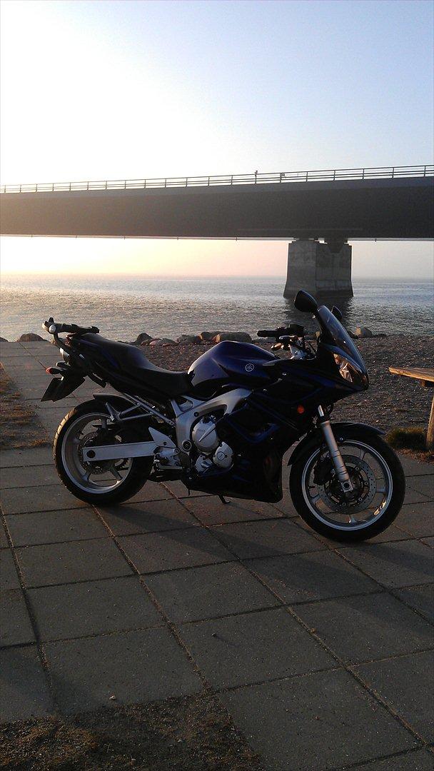 Yamaha FZ6S [Solgt] billede 13