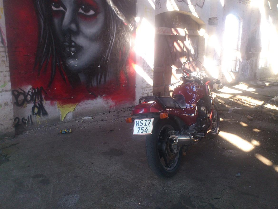 Kawasaki gpz 900 billede 2