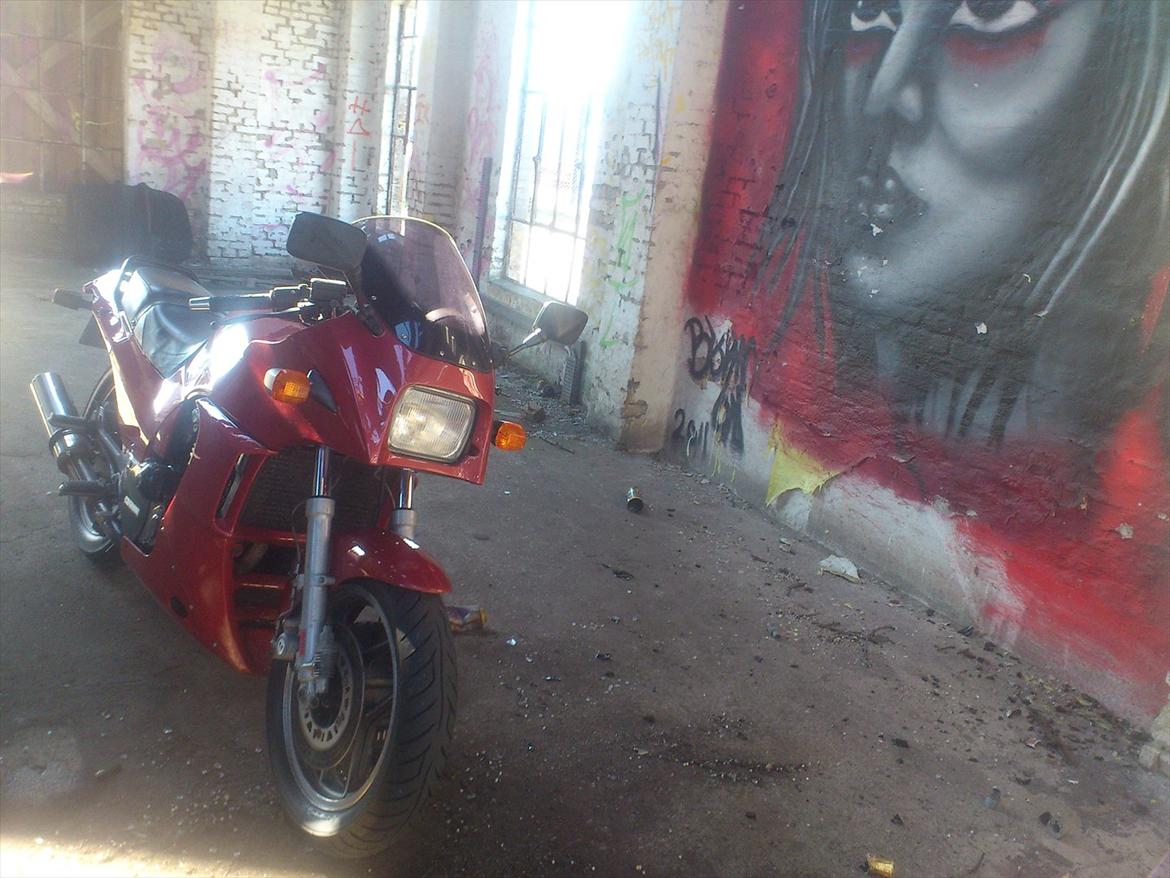 Kawasaki gpz 900 billede 3