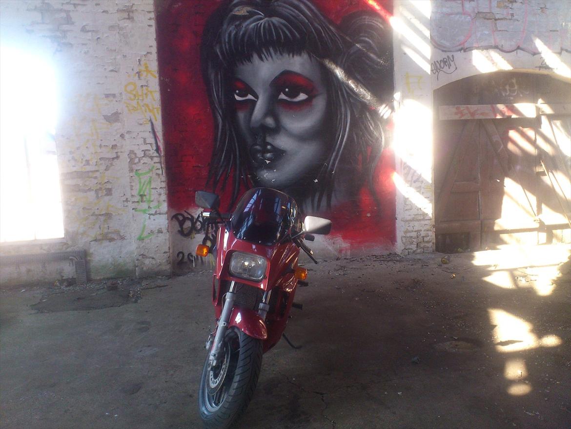 Kawasaki gpz 900 billede 4