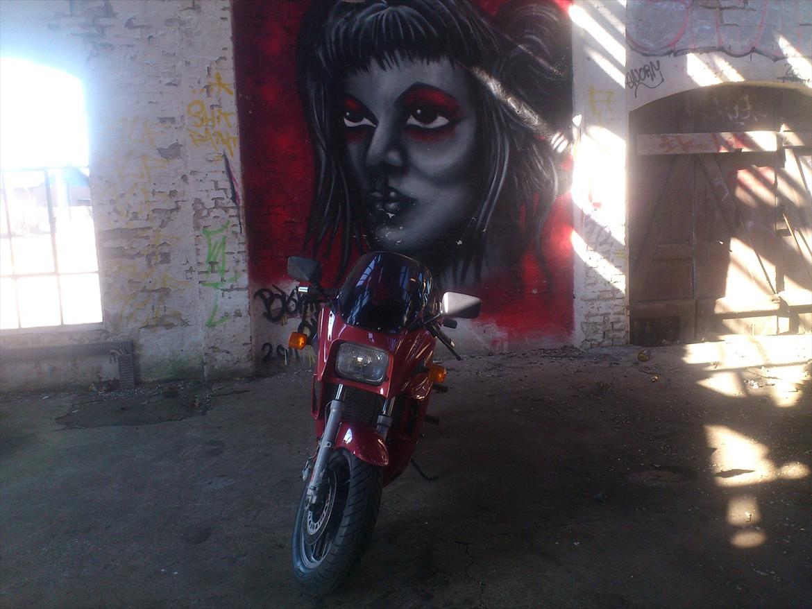 Kawasaki gpz 900 billede 5