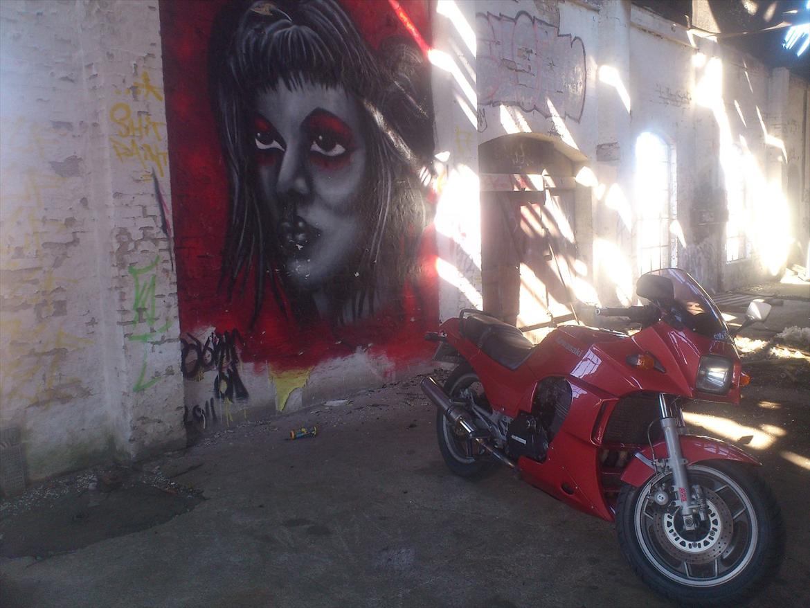 Kawasaki gpz 900 billede 6