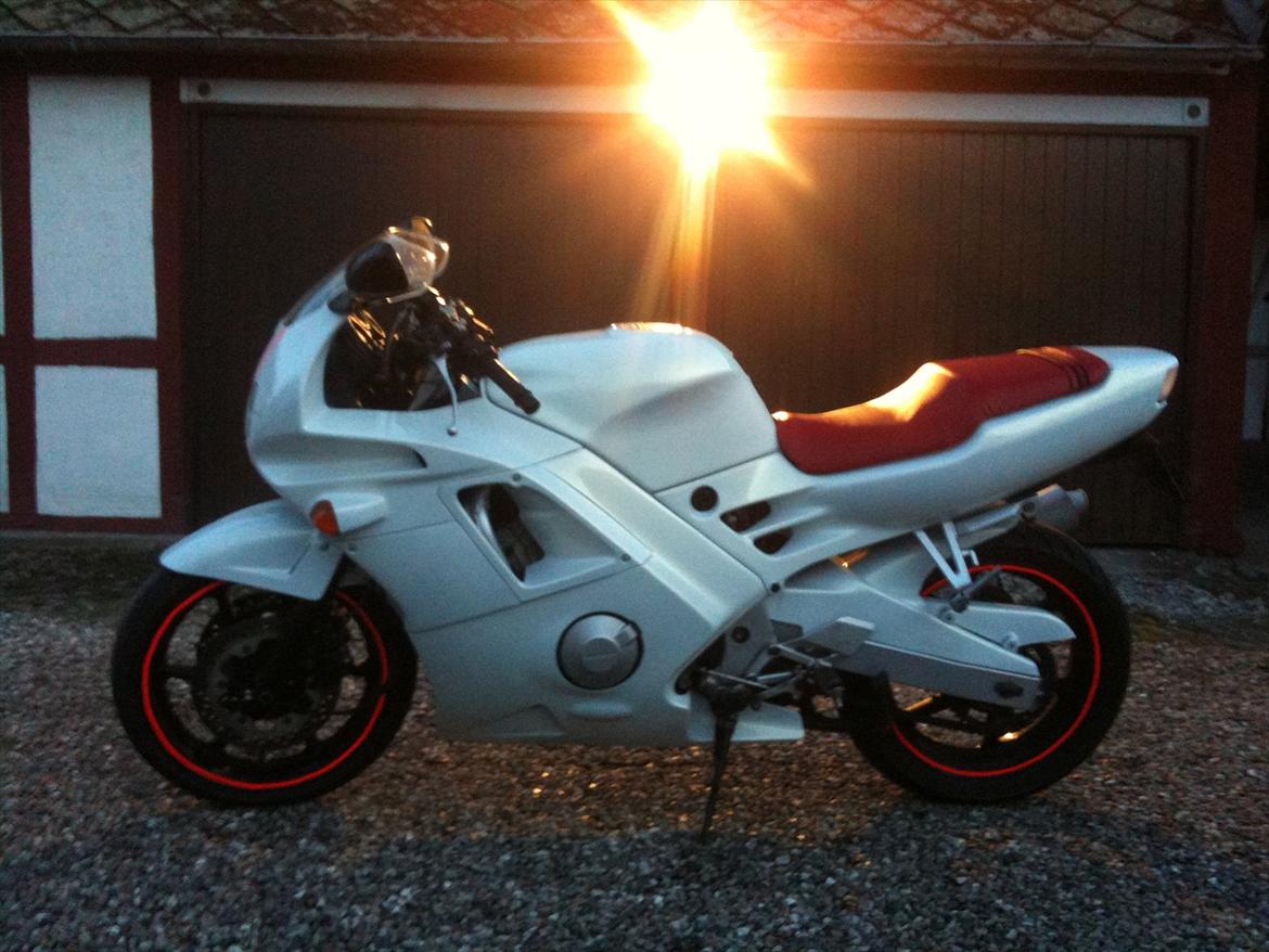 Honda CBR 600 billede 3